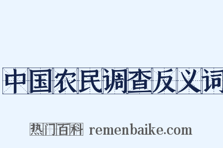 中国农民调查反义词是什么意思的图片